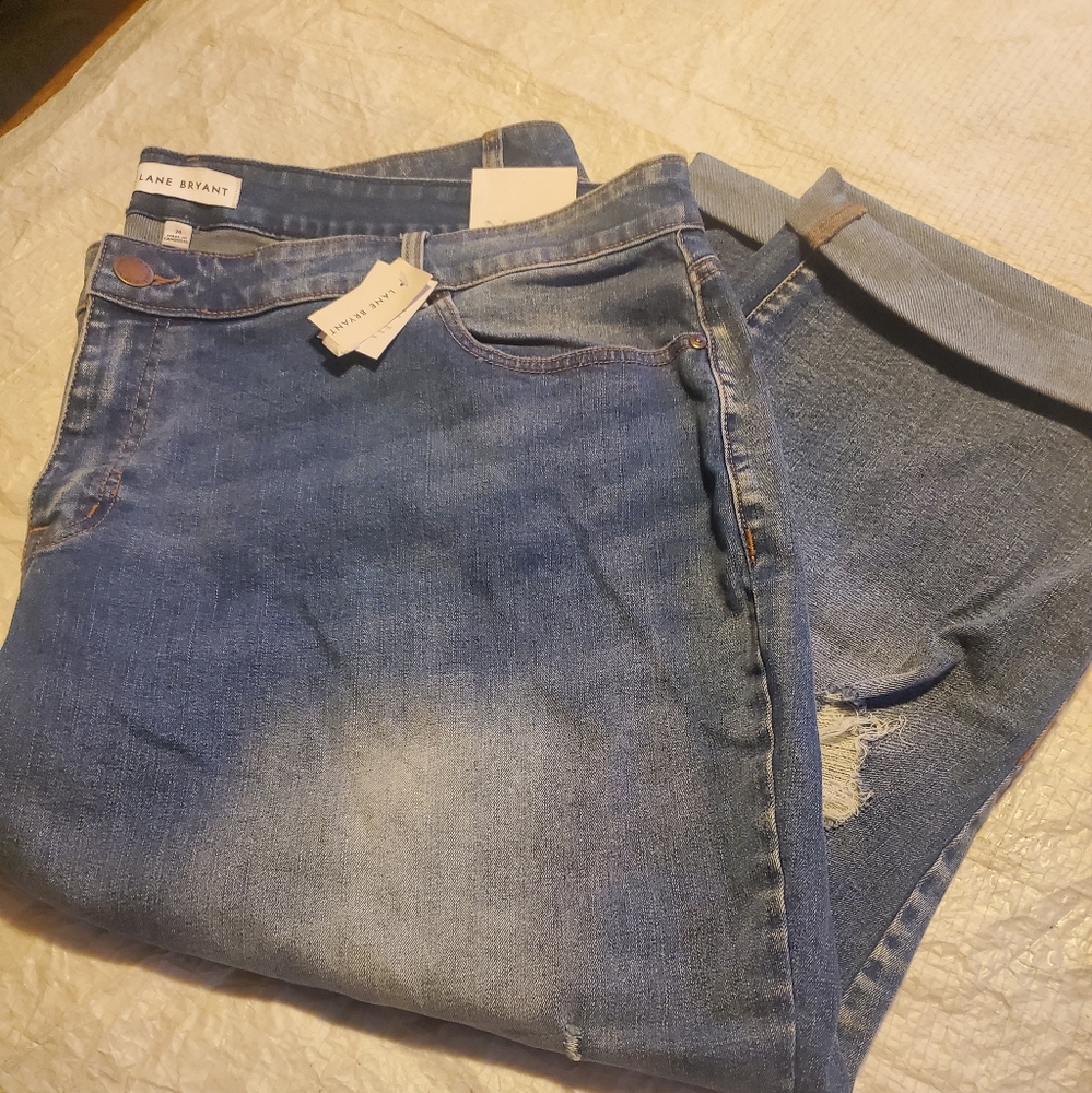 Lane Bryant Boyfriend capri